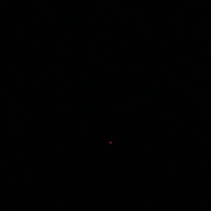 Meet your Posher, Destinee